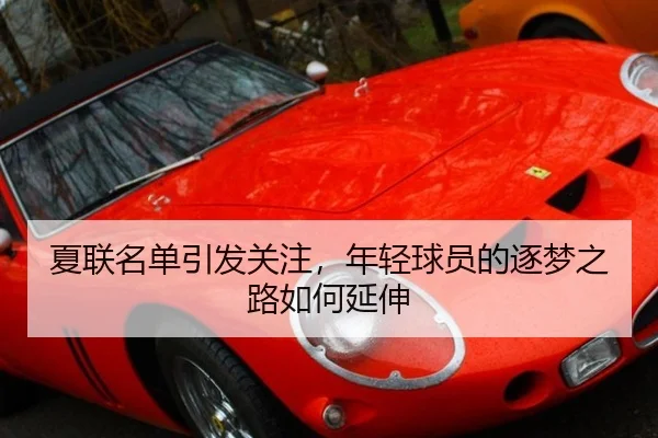 夏联名单引发关注，年轻球员的逐梦之路如何延伸